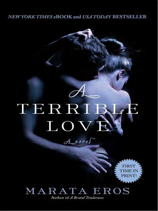 Cover image for A Terrible Love